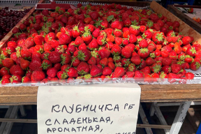 «Пробовать можно только с разрешения продавца»